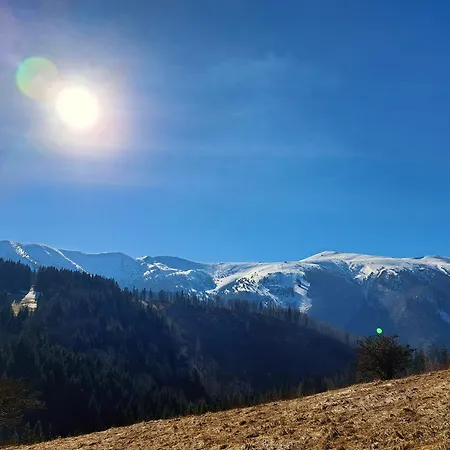 Alexandra Vakantiehuis